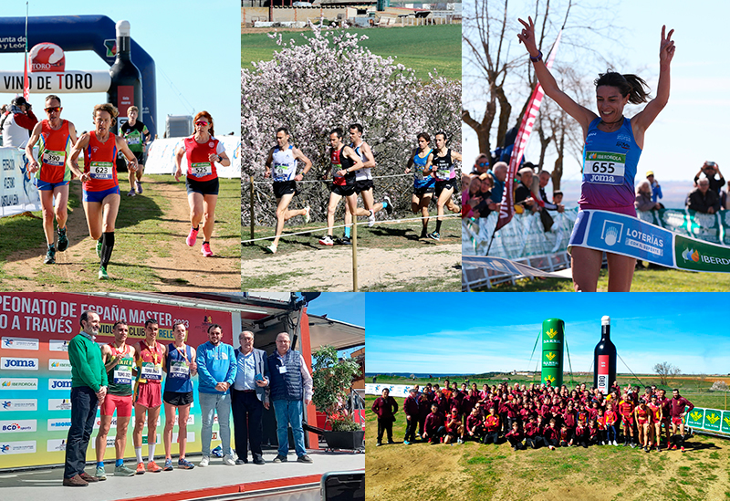 FEDERACIÓN DE ATLETISMO DE LA COMUNIDAD VALENCIANA